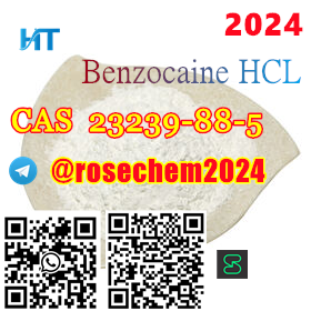 Benzocaine HCL CAS 23239885 vendor 8615355326496